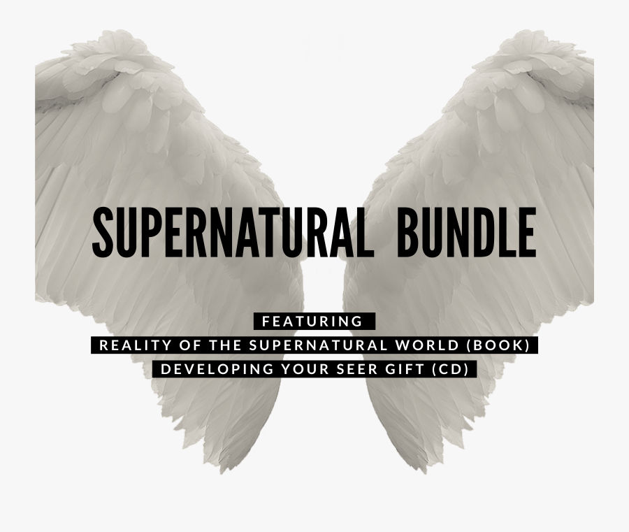 Supernatural Bundle - Insect - Hand Drawn Social Media Icons, Transparent Clipart