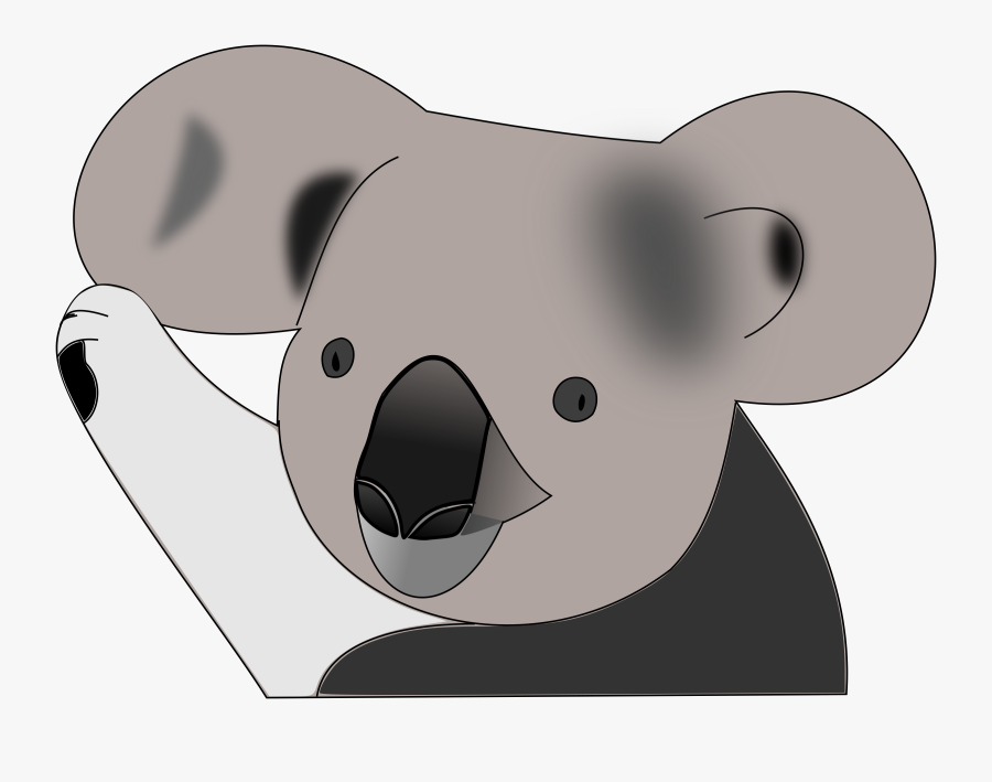 Transparent Koala Png - Koala And Cat Cartoon, Transparent Clipart
