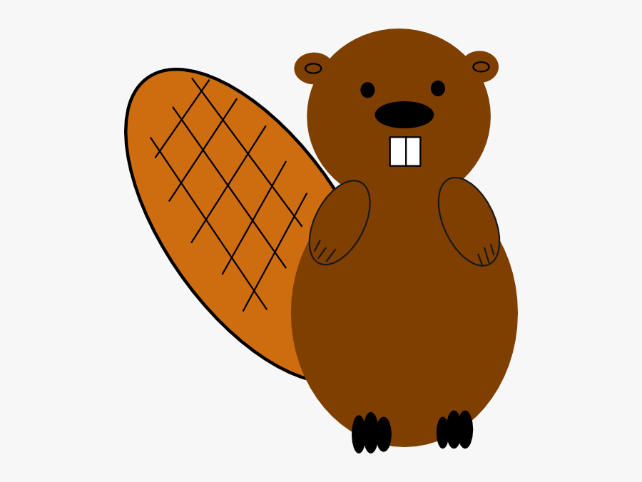 Beaver Clipart, Transparent Clipart