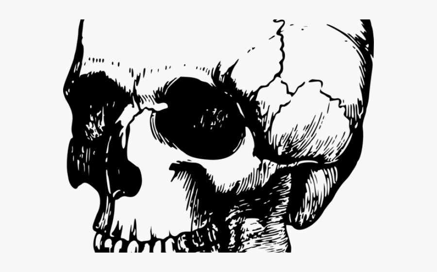 Genocide Clipart Skull Cross Bone - Calavera Png, Transparent Clipart