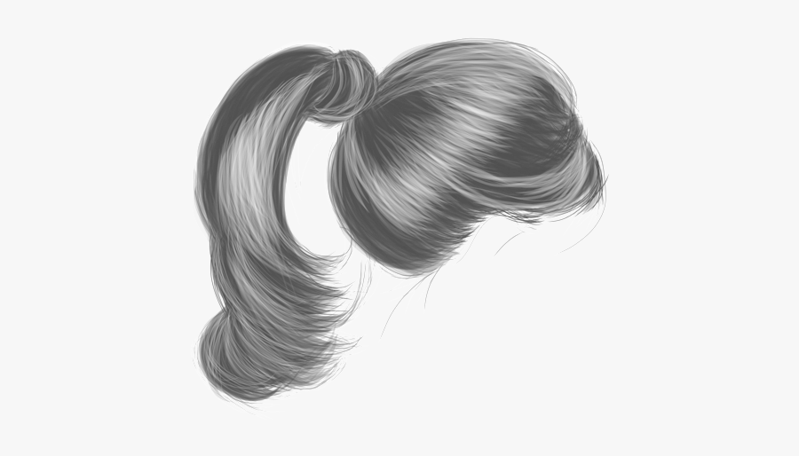 Ponytail Png Page - Black Hair Ponytail Png, Transparent Clipart