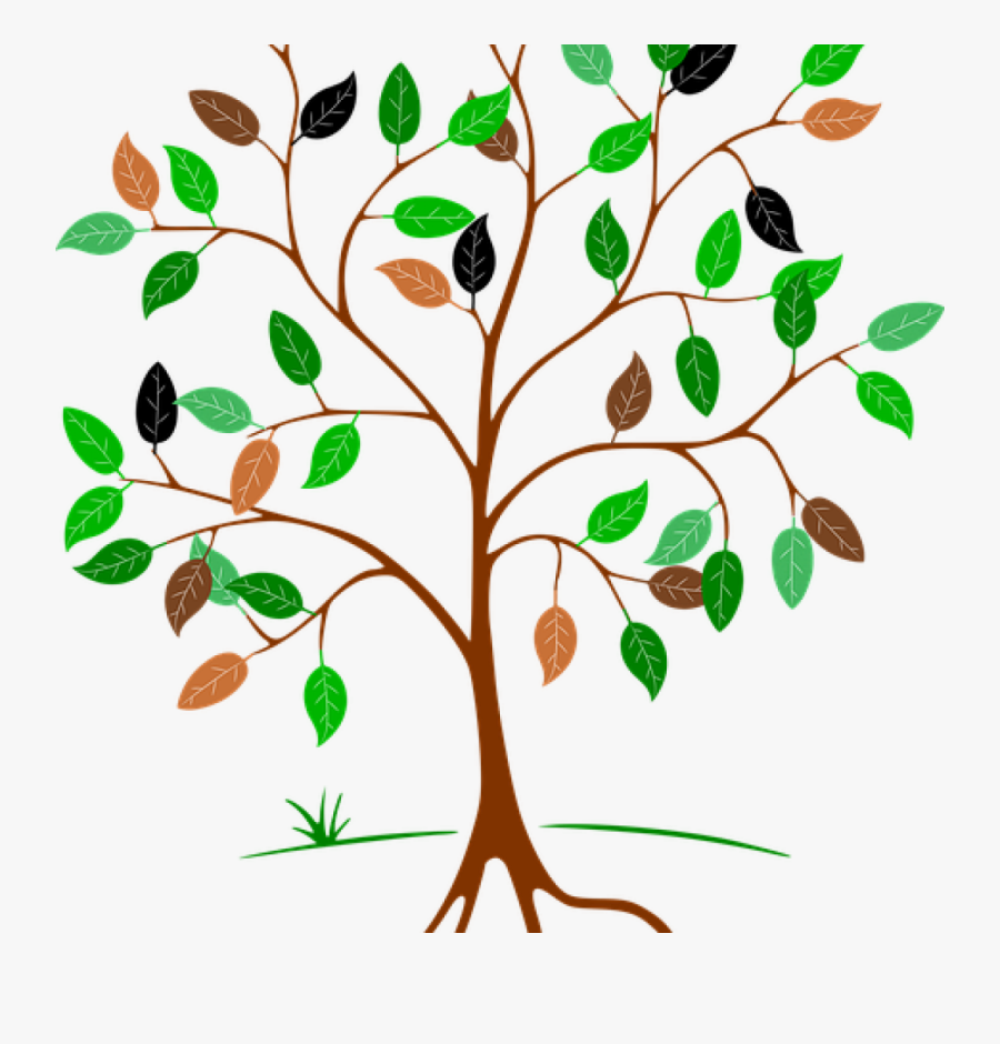 Roots And Affixes, Transparent Clipart