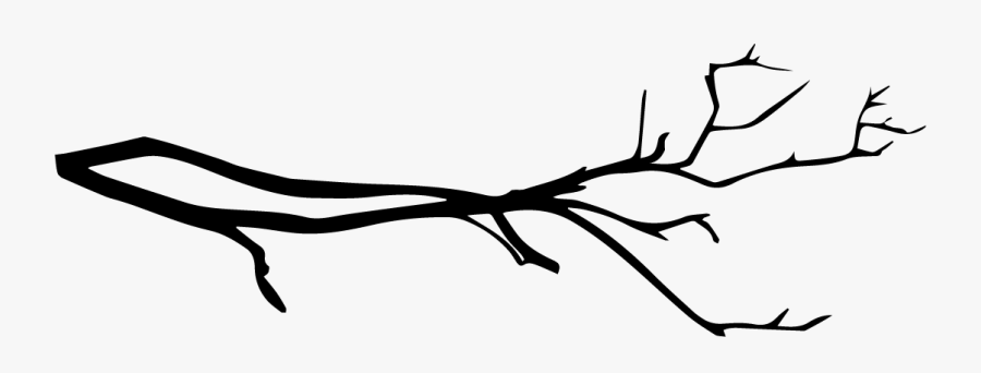 Branch, Transparent Clipart