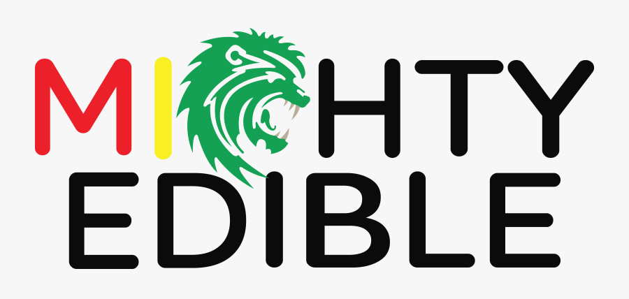 Vector Lion Clipart , Png Download - Vector Lion, Transparent Clipart