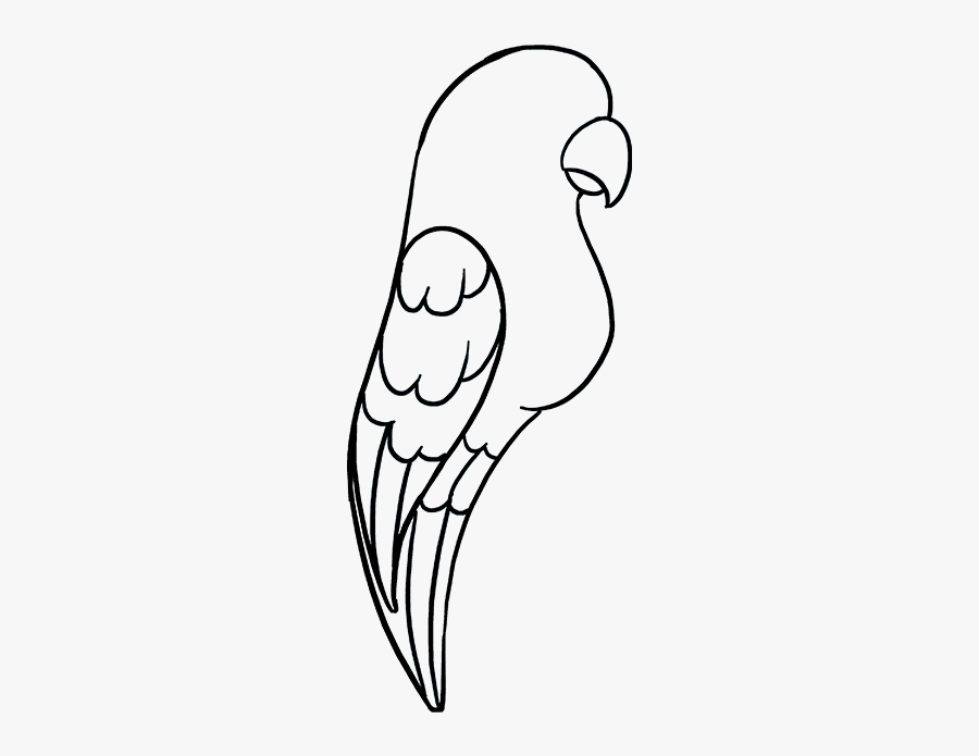 How To Draw A Parrot - Loro Para Dibujar Facil, Transparent Clipart