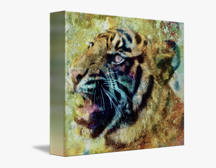 Clip Art Library Library By Lisa - Siberian Tiger, Transparent Clipart