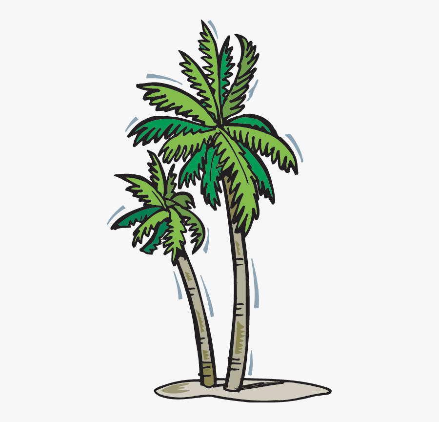 Palm Tree - Yes O, Transparent Clipart
