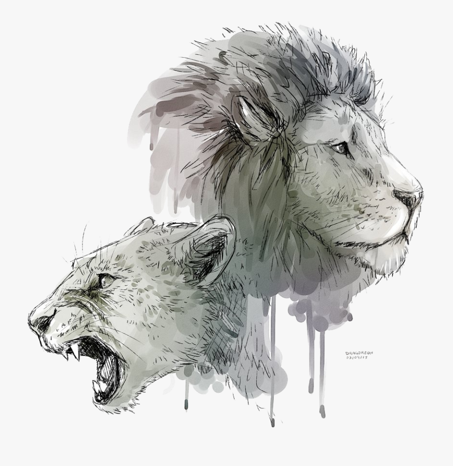 Lioness Roar Transparent Background - Drawing With Transparent Background, Transparent Clipart