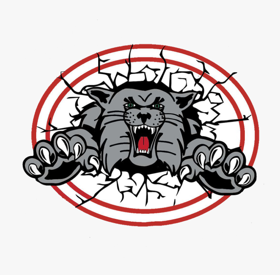 Canton South Wildcats - Illustration, Transparent Clipart