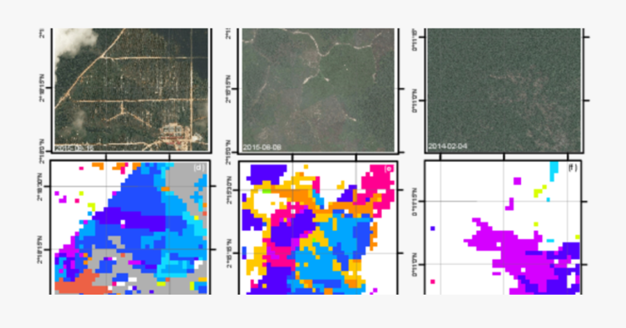Transparent Deforestation Png - Map, Transparent Clipart