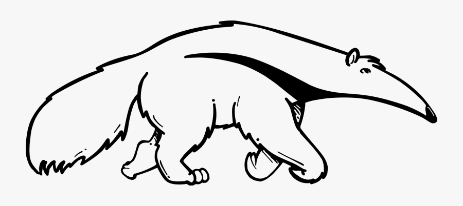 Uci Anteater Black And White, Transparent Clipart