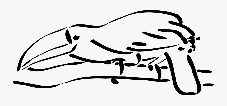 Toucan - Clipart - Black - And - White - Toucan Outline, Transparent Clipart