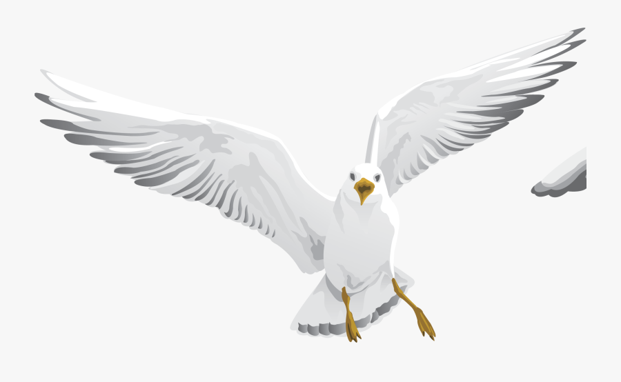 Мхк Чайка Логотип, Transparent Clipart