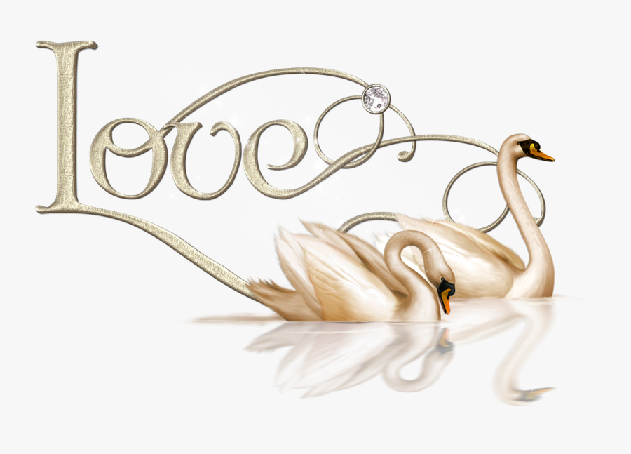 Love Swan Clip Art, Transparent Clipart