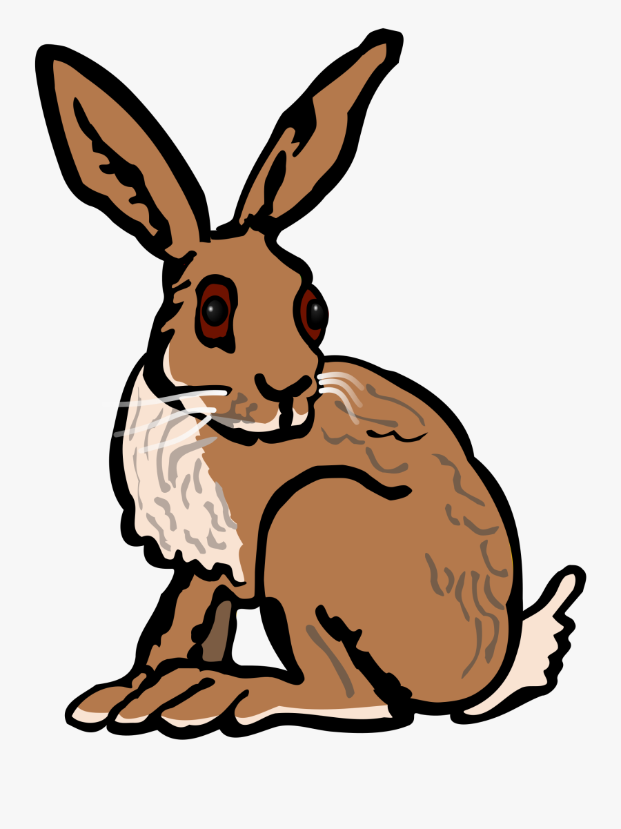 Wildlife,rabits And Hares,hare - Hare Clip Art, Transparent Clipart