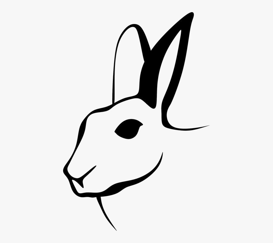 Hare, Rabbit Silhouette, Animals, Free Images, Shadows, - Rabbit Head Drawing, Transparent Clipart