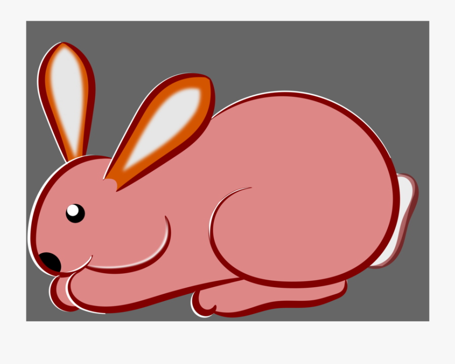 Rabits And Hares,whiskers,hare - Rabbit, Transparent Clipart