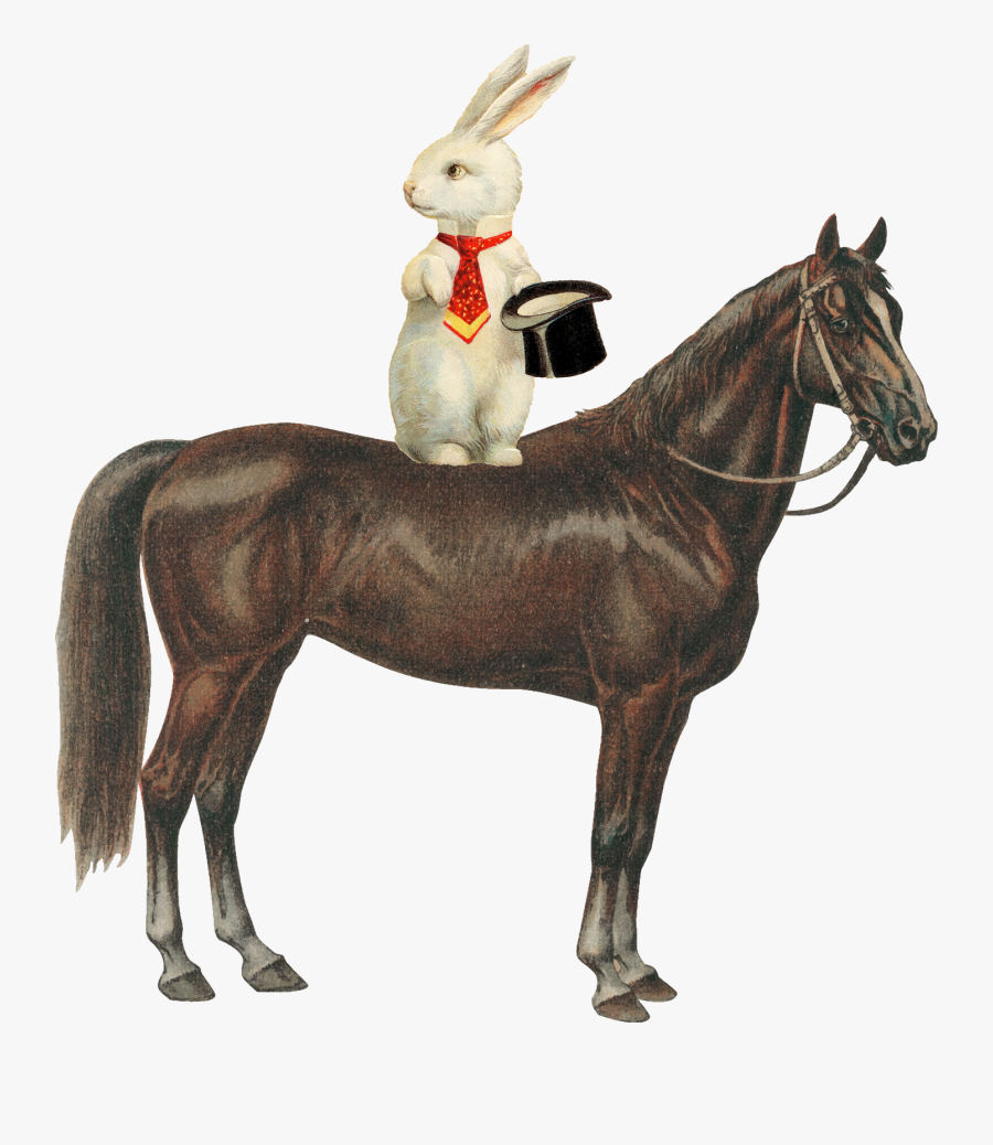 Clip Art Pictures Of A Horse - Hare Horse, Transparent Clipart