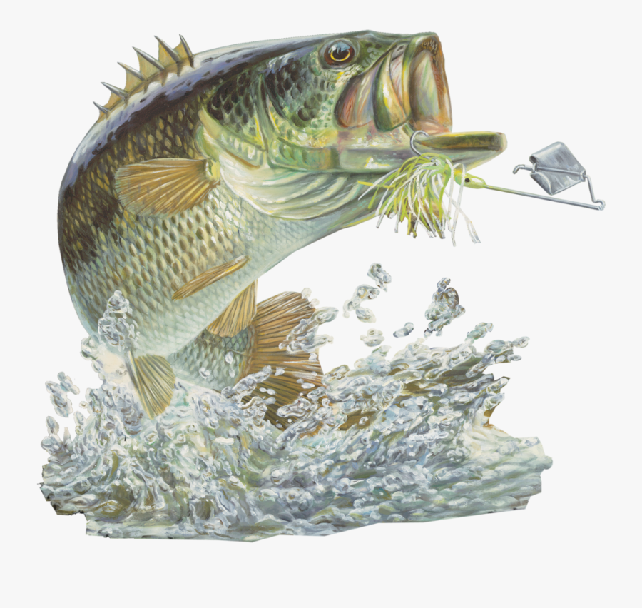 Bass Fishing Sticker Buzzbait - Fish Large Mouth Bass, Transparent Clipart