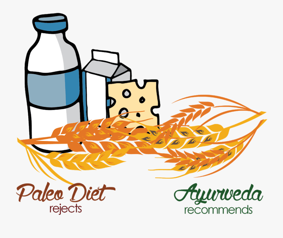 Ayurveda And The Paleo, Transparent Clipart