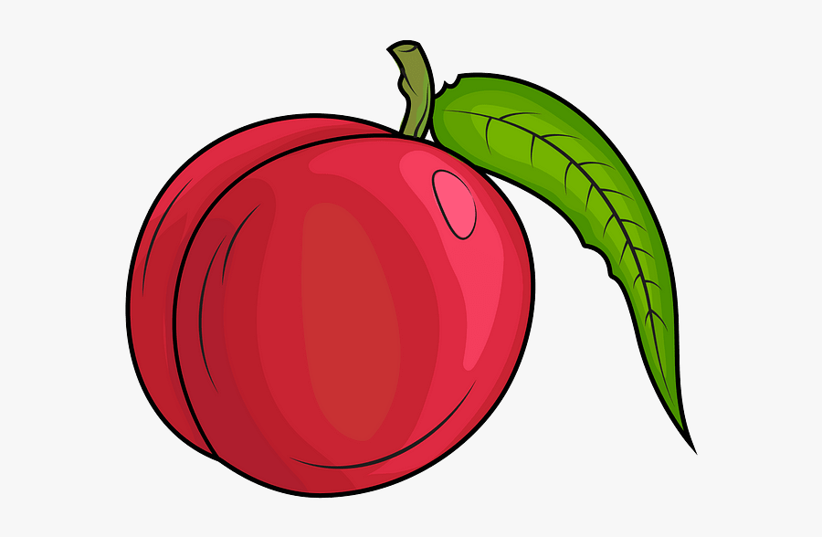Mcintosh, Transparent Clipart