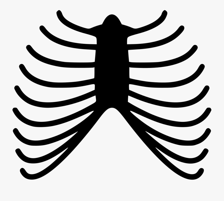 Clipart Skeleton Skeleton Rib Skeleton Ribs Png , Free Transparent