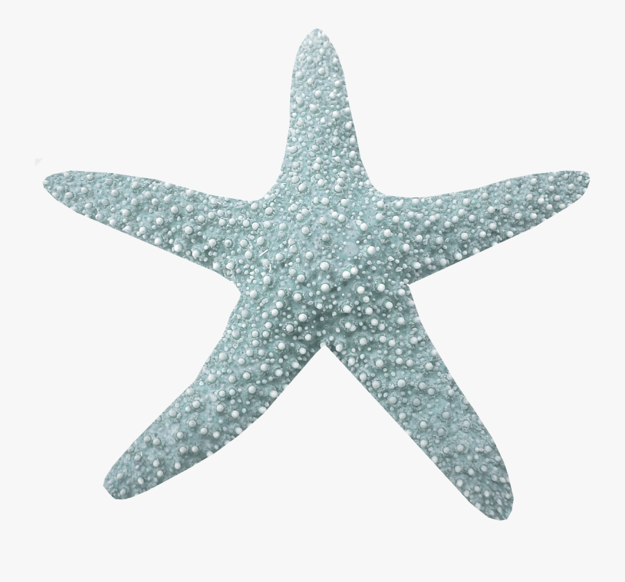Coral Reefs Clip Arts, Transparent Clipart