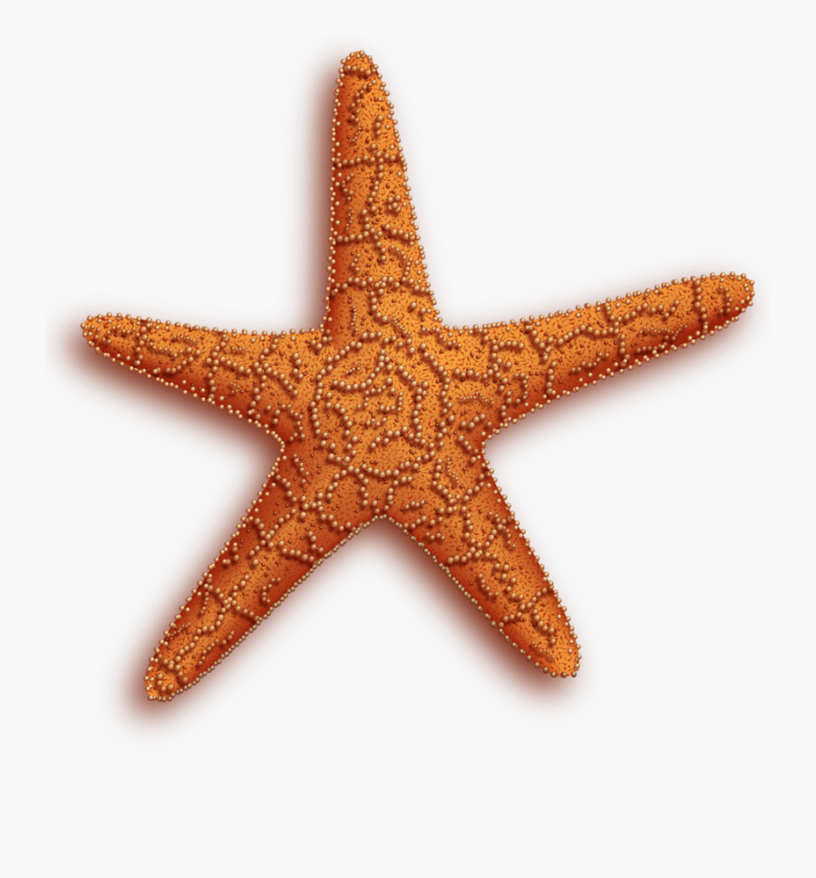 Portable Network Graphics, Transparent Clipart