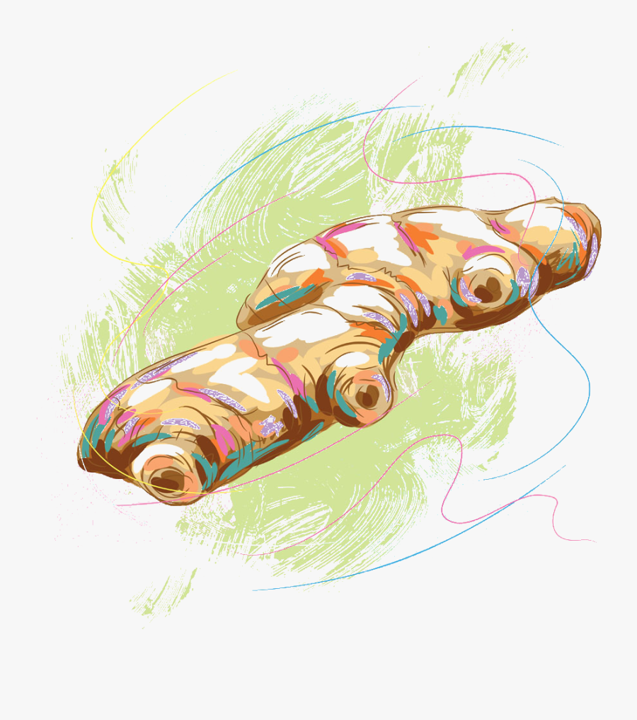 Clipart Library Download Spice Illustration Hand Painted - Illustration, Transparent Clipart