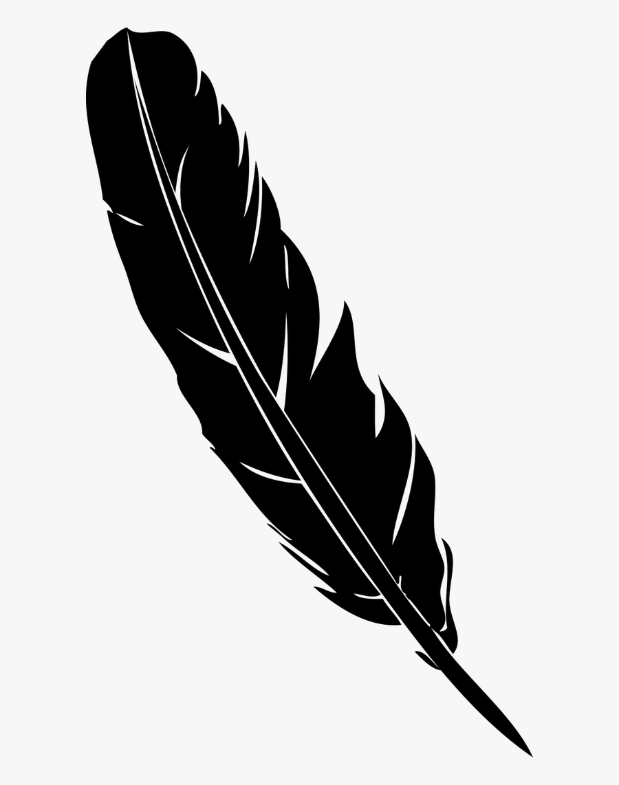 Black And White Pen & Quill - Transparent Background Black Feather Clipart, Transparent Clipart