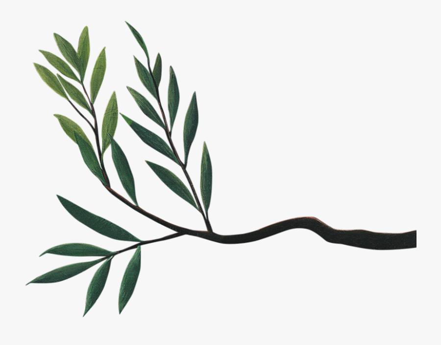 Wilderness, Which Defies All Attempts To Capture It, Transparent Clipart