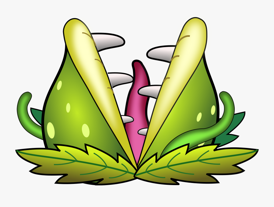 Plant,flower,leaf - Fly Trap Clipart, Transparent Clipart