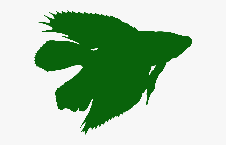 Betta Splendens Double Tail, Transparent Clipart