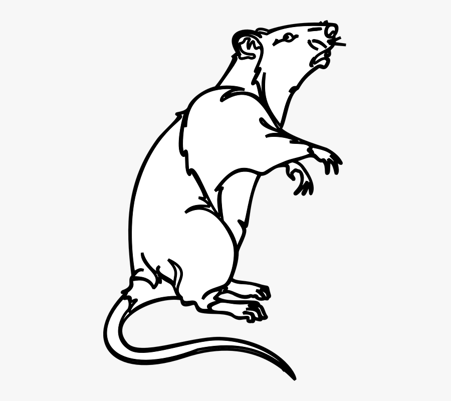 Collection Of White Mouse Cliparts - Dead Rat Clip Art Black And White, Transparent Clipart