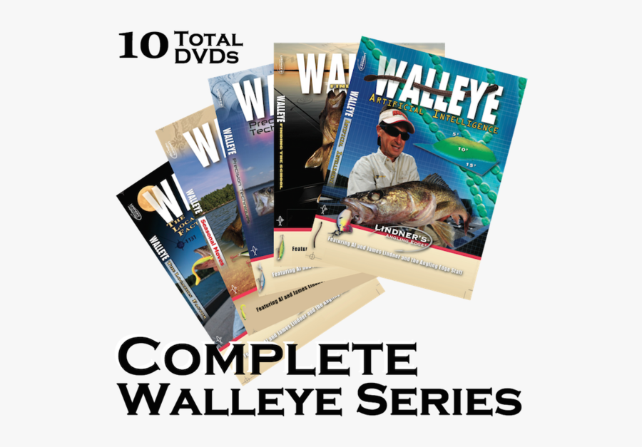 Flyer, Transparent Clipart