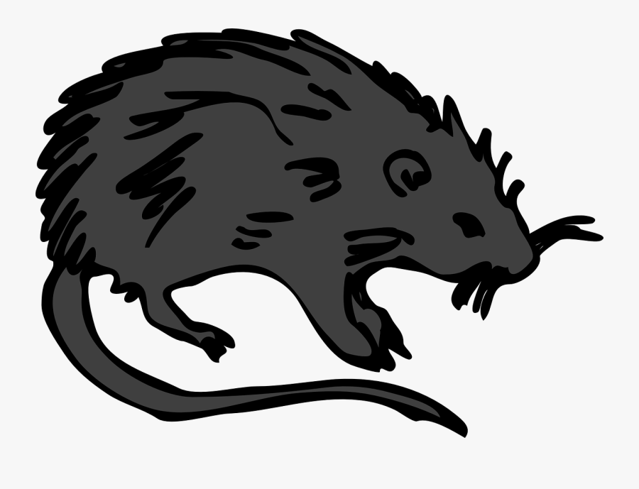 Transparent Death Clipart - Rat Clip Art, Transparent Clipart
