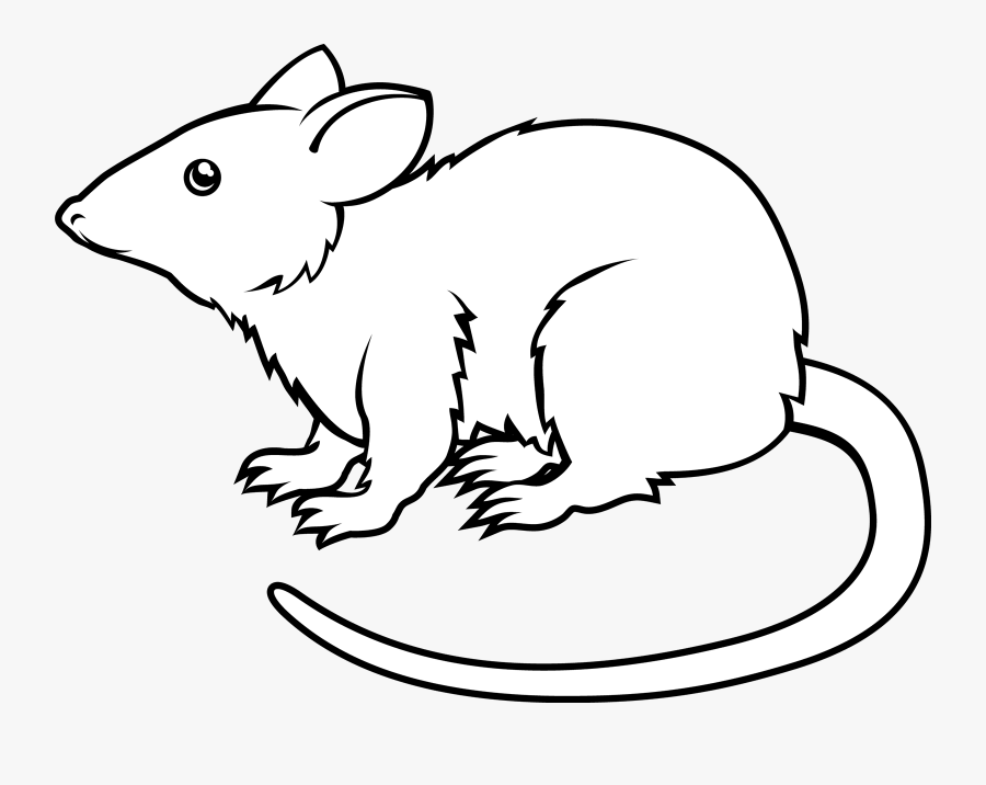Animated Rat Images Black And White, Transparent Clipart