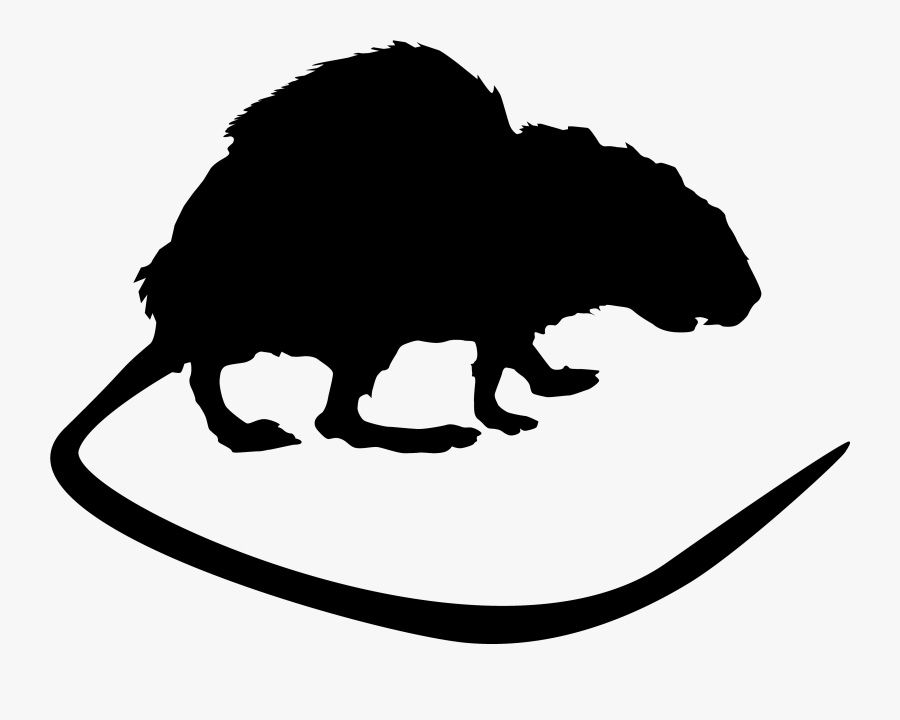 Rat Ant Perth Pest Cockroach - Mouse, Transparent Clipart