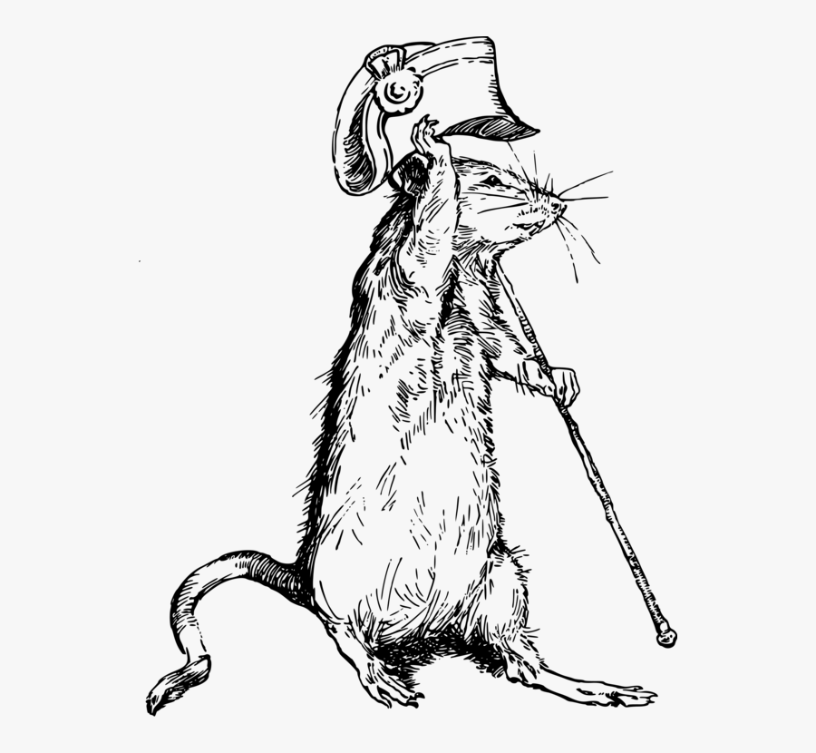 Art,carnivoran,artwork - Mouse, Transparent Clipart