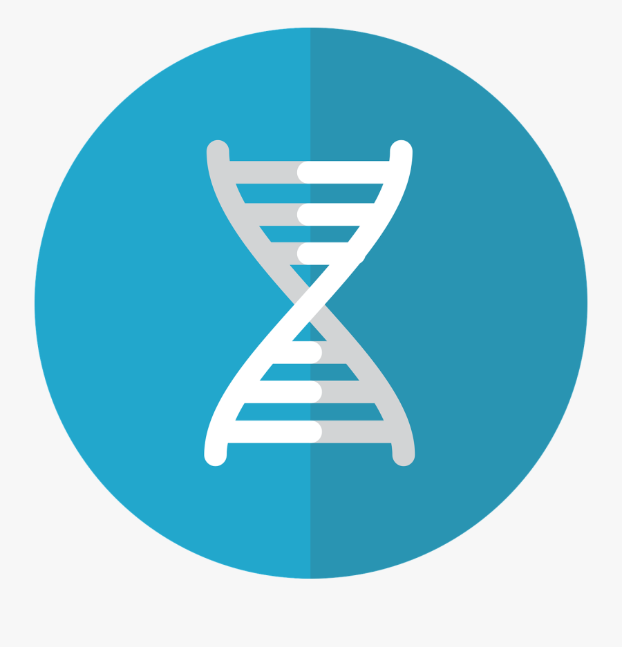 Transparent Genetics Clipart - Genes Clip Art Free, Transparent Clipart