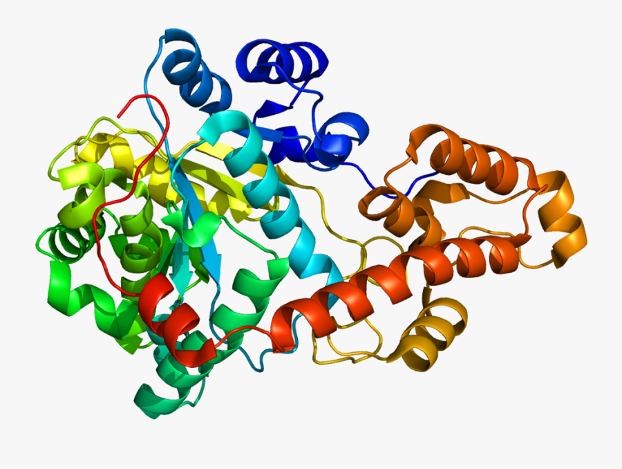 Microscope Clipart Genetics - Illustration, Transparent Clipart