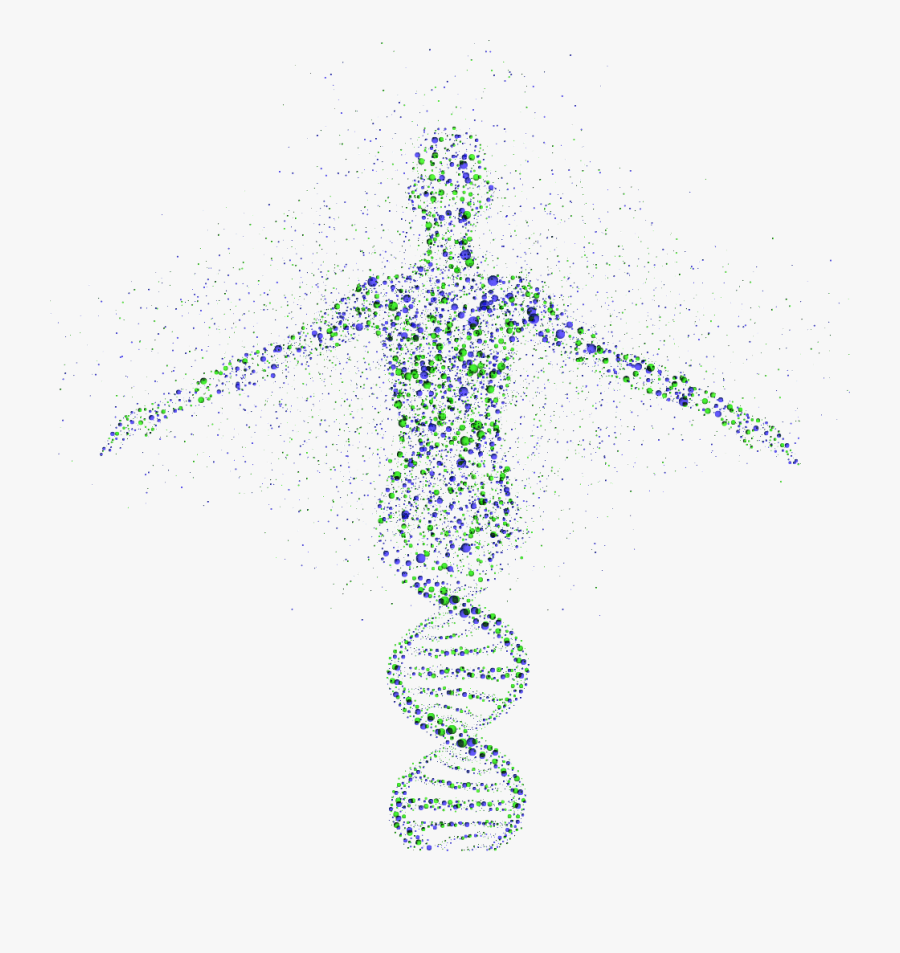 Genomics Genetic Testing Genetics Dna Free Clipart - Human Genome Project Png, Transparent Clipart