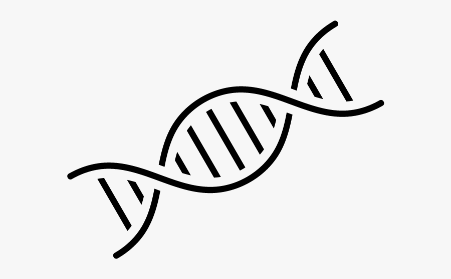 Dna Nucleic Acid Double Helix Genetics Computer Icons - Dna Png, Transparent Clipart