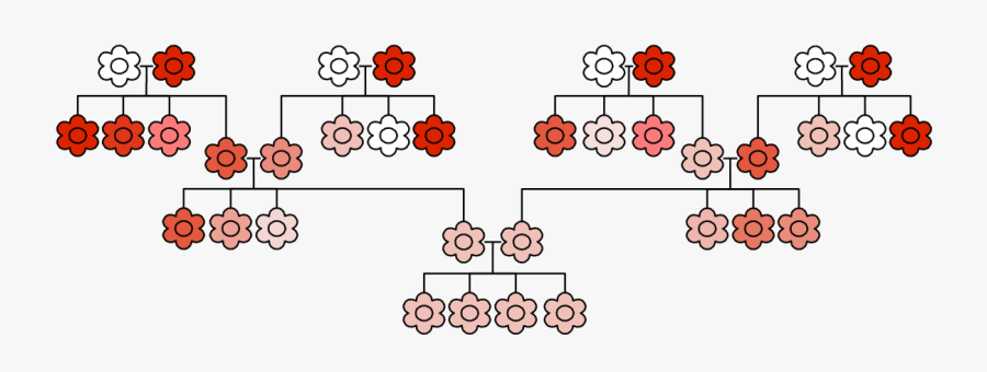 Examples Of Blending Inheretance, Transparent Clipart