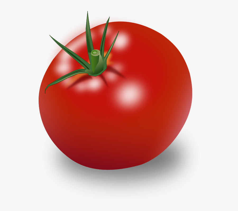 Tomato Clipart, Transparent Clipart