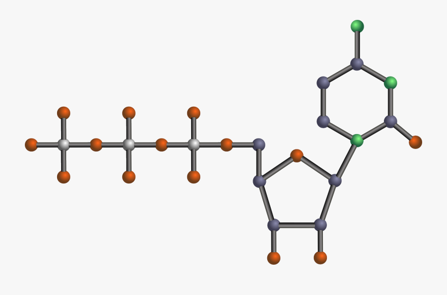 Nucleotide Dna Pyrimidine Rna Png Image Clipart , Png - Nucleotide Clipart, Transparent Clipart