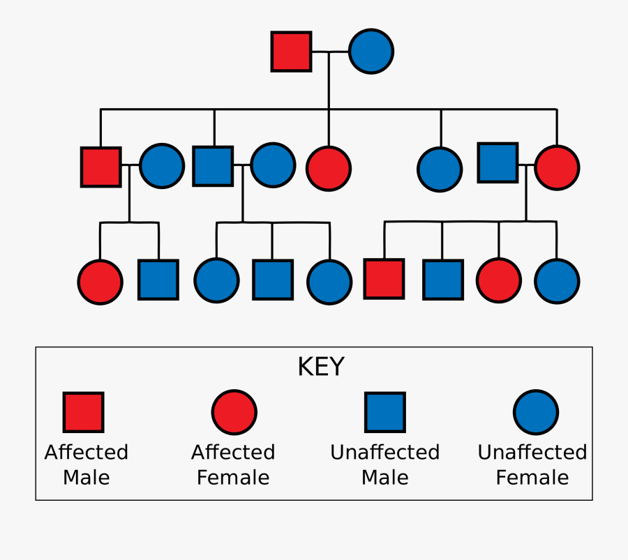 Huntington's Disease Chart, Transparent Clipart