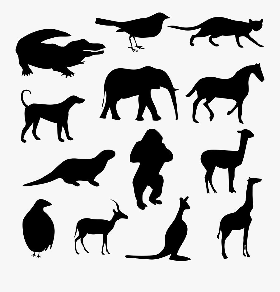 Horse,grass,silhouette - Desenhos De Sombras De Animais, Transparent Clipart