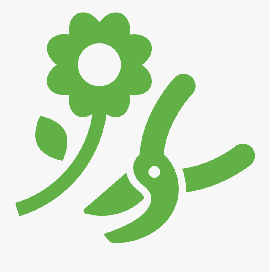 Shrub, Transparent Clipart