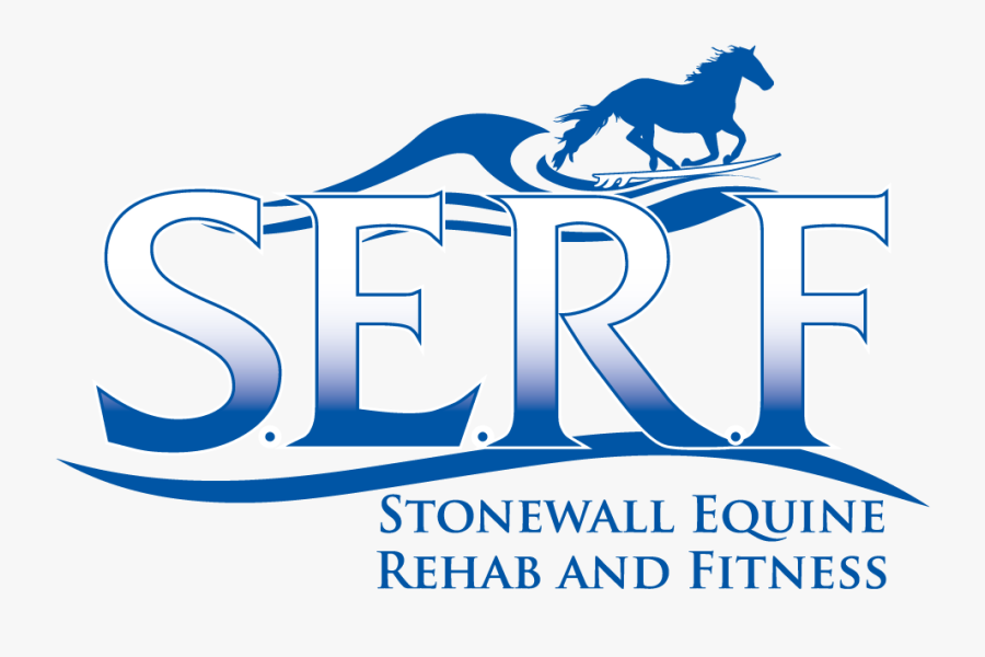 Welcome To Stonewall Equine Rehabilitation And Fitness - Stallion, Transparent Clipart